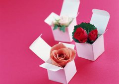 如何选择会议礼品？